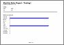 Monthly Sales Report